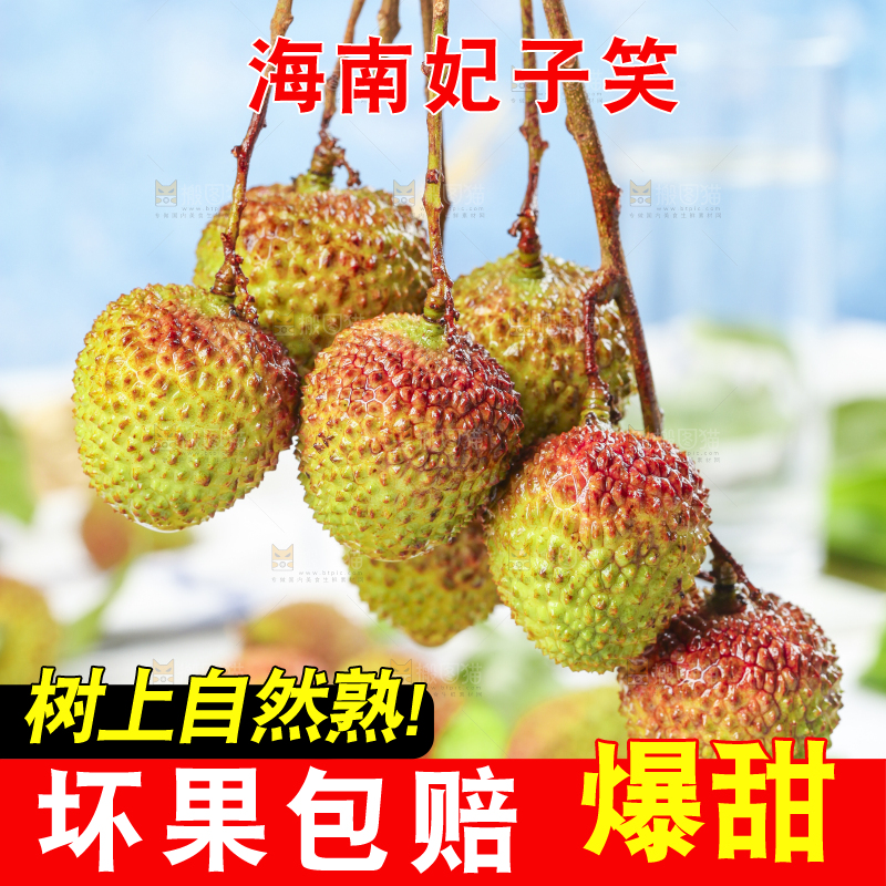 浅底上摆放着妃子笑荔枝