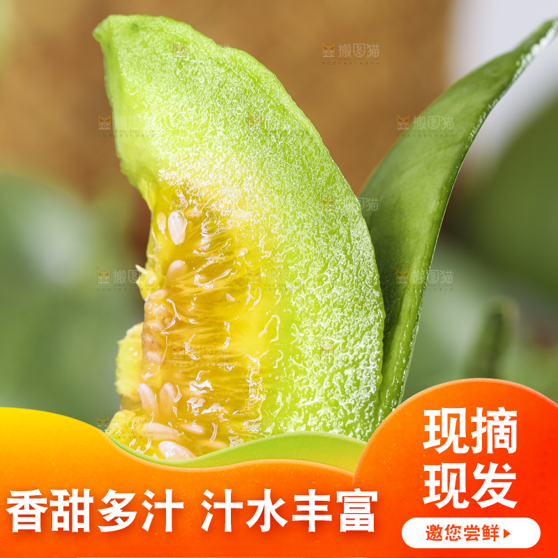 手里拿着绿宝甜瓜