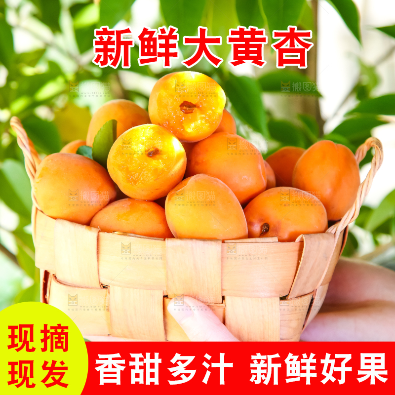 手里提着一篮杏子