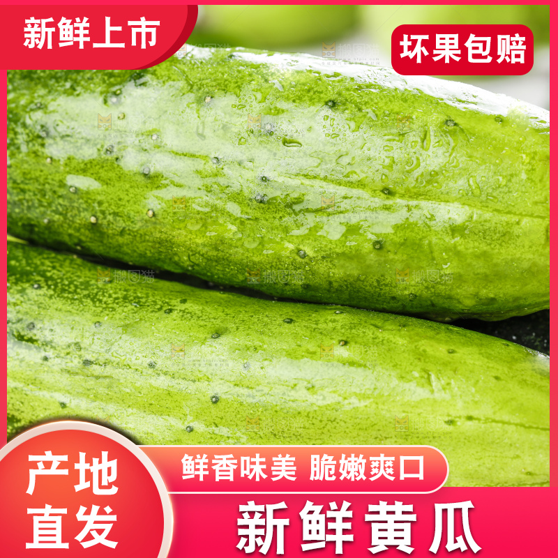 木底上放着农家黄瓜