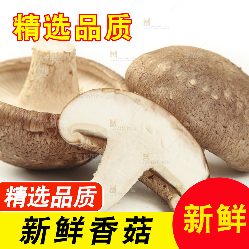 白底上放着香菇