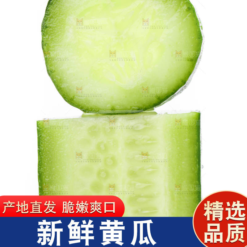 白底上摆放着小青瓜