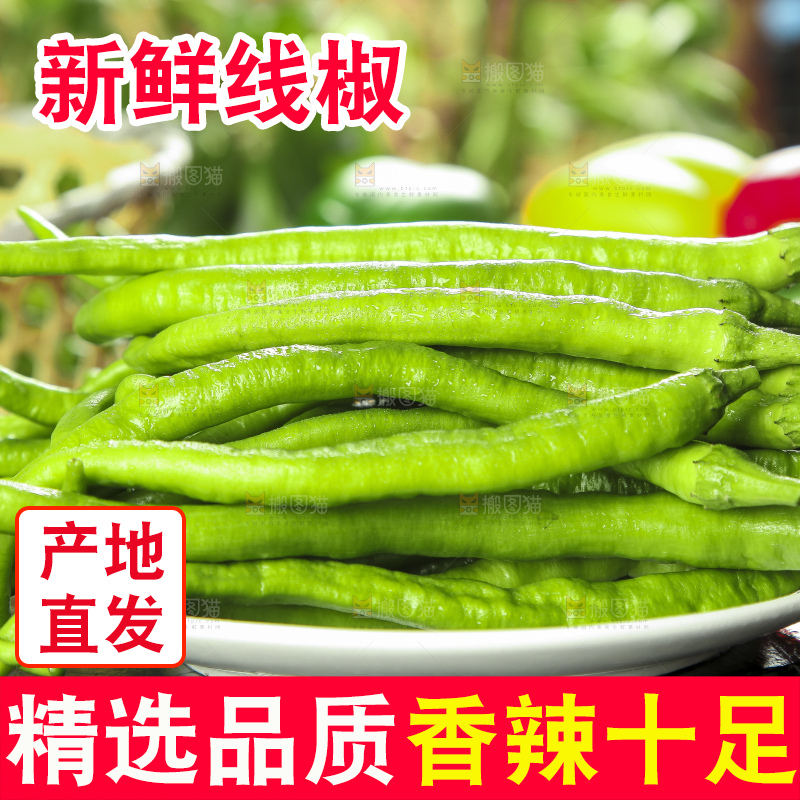 盘子里装着二荆条辣椒