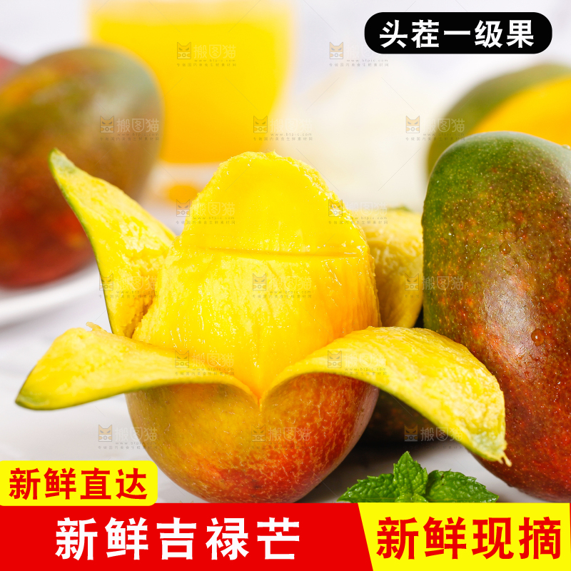 白底上放着吉禄芒