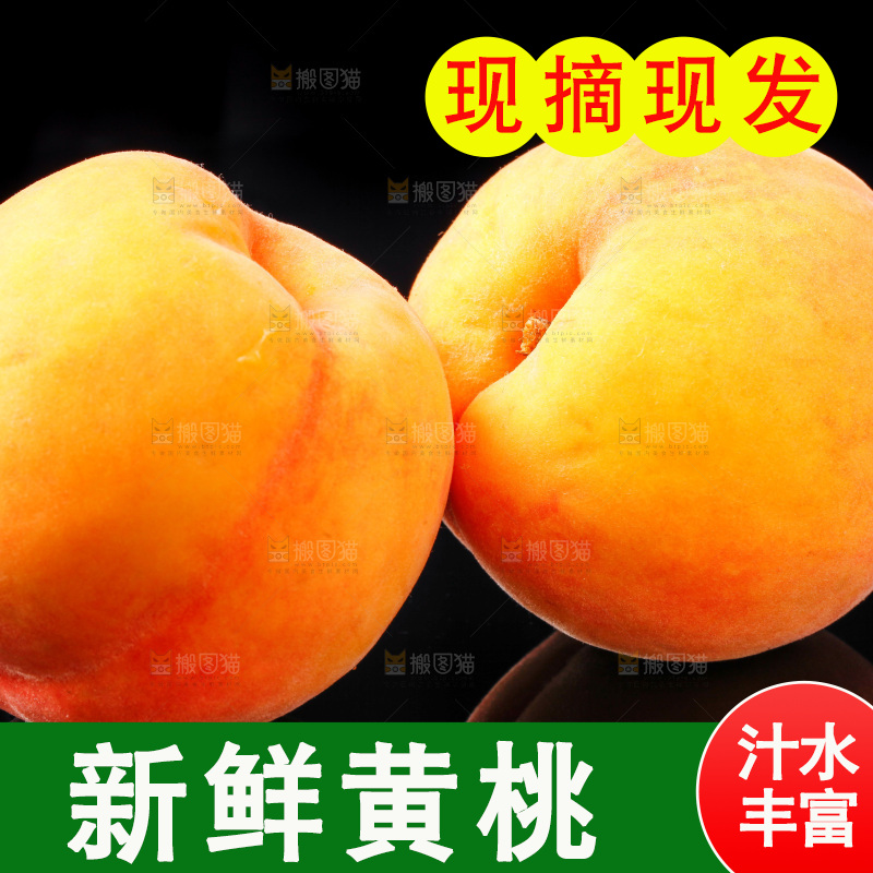 黑底上放着山东黄桃