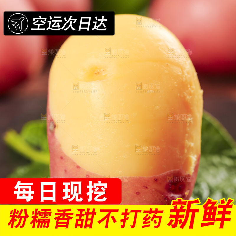 黑底上放着红皮黄心土豆