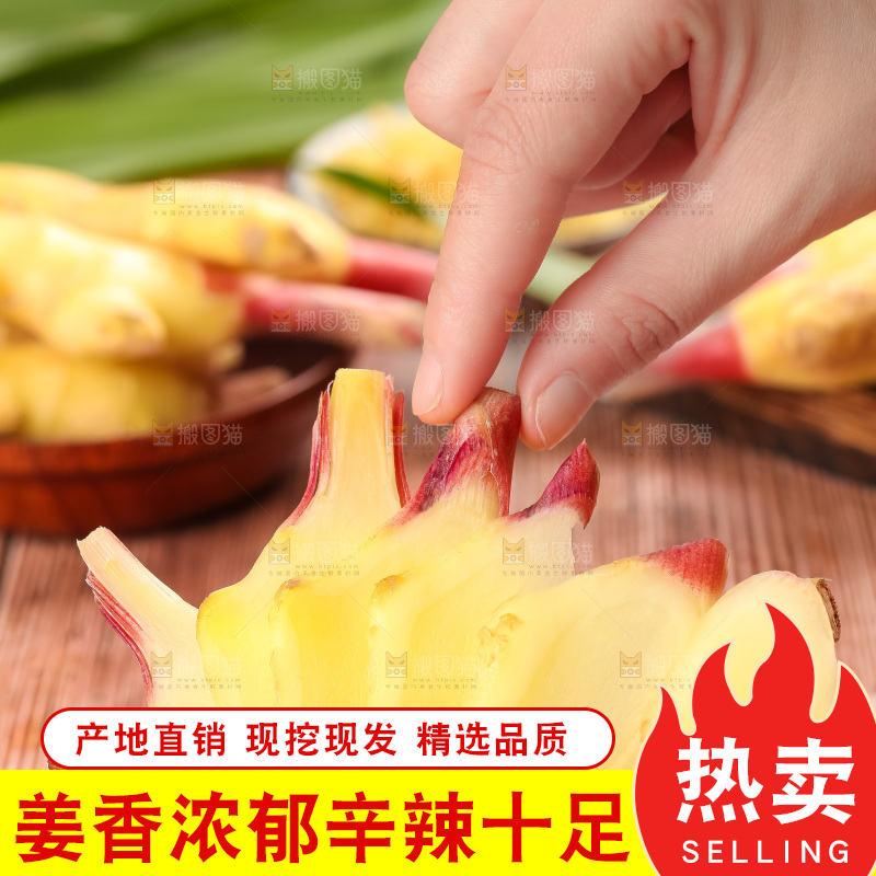 手里拿着新鲜生姜