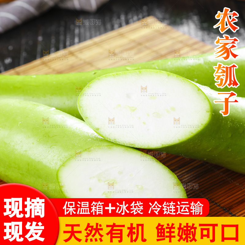 木底上放着瓠子