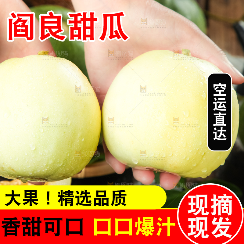 手里拿着阎良甜瓜