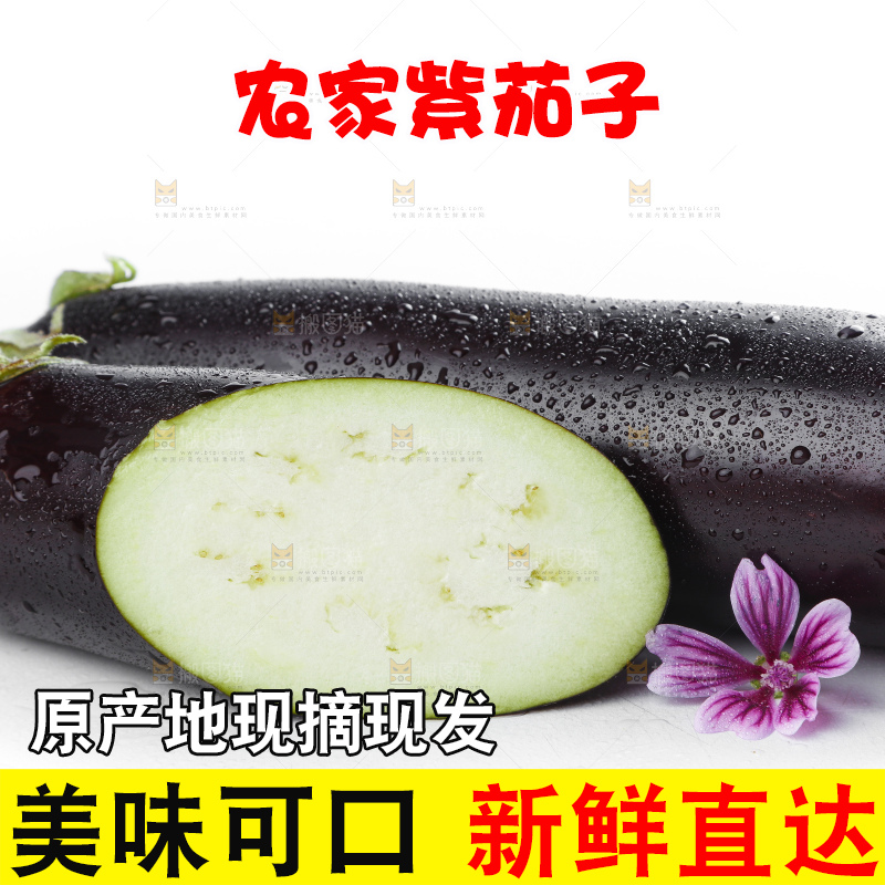 白底上摆放着紫茄子
