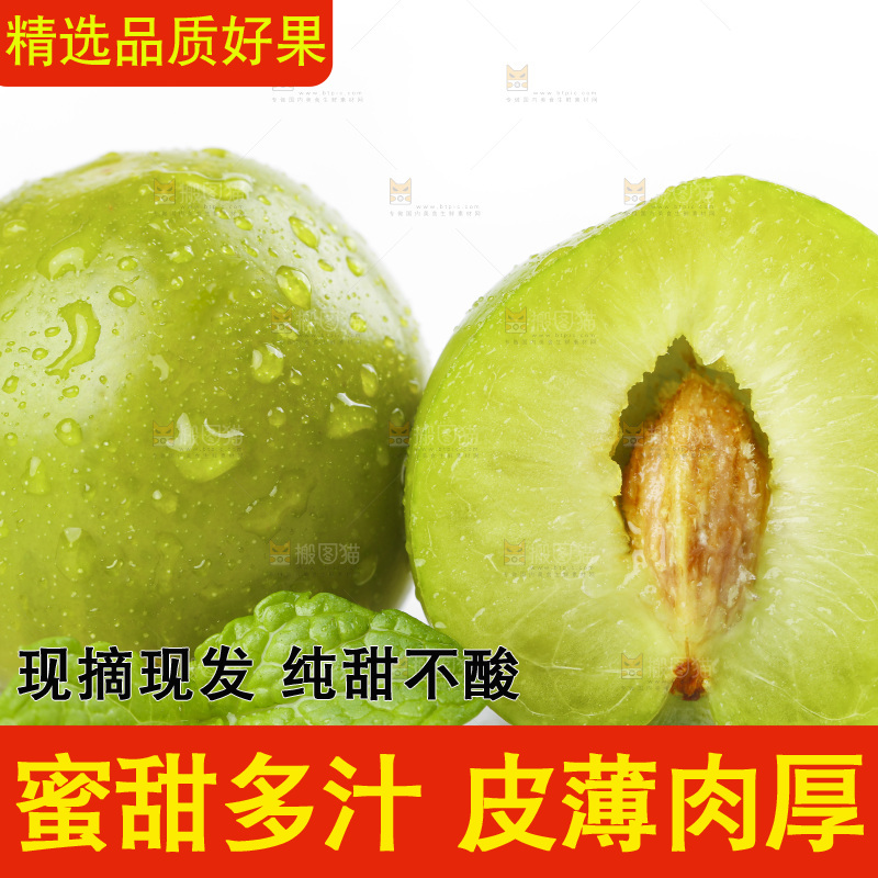 白底上摆放着脱骨李