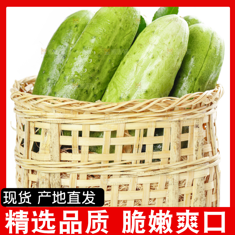 篮子里装着蔬菜黄瓜