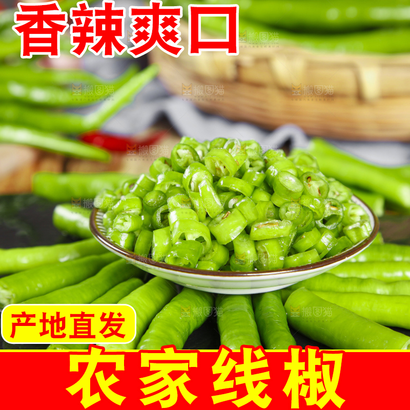 石板上放着青线椒