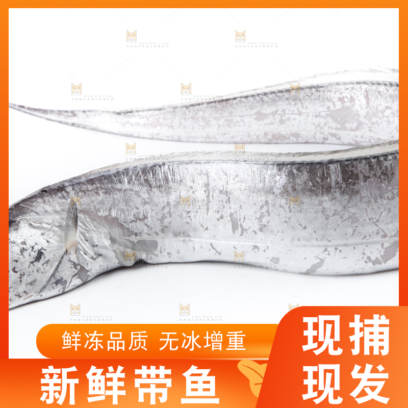 白底上放着带鱼