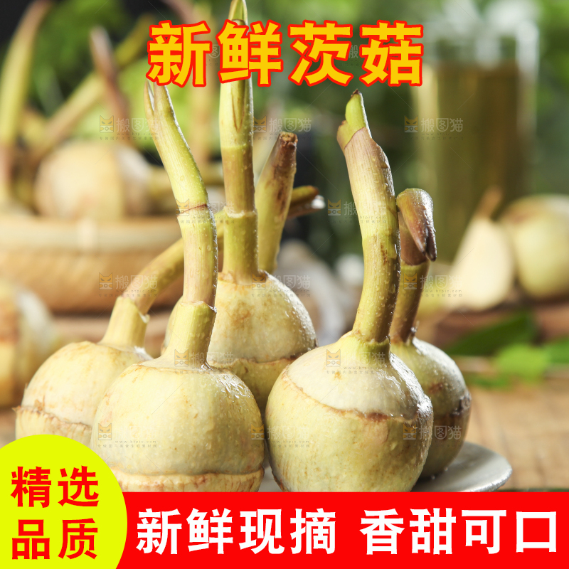 盘子里装着白慈菇