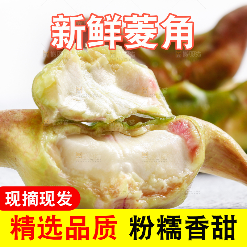 白底上的菱角