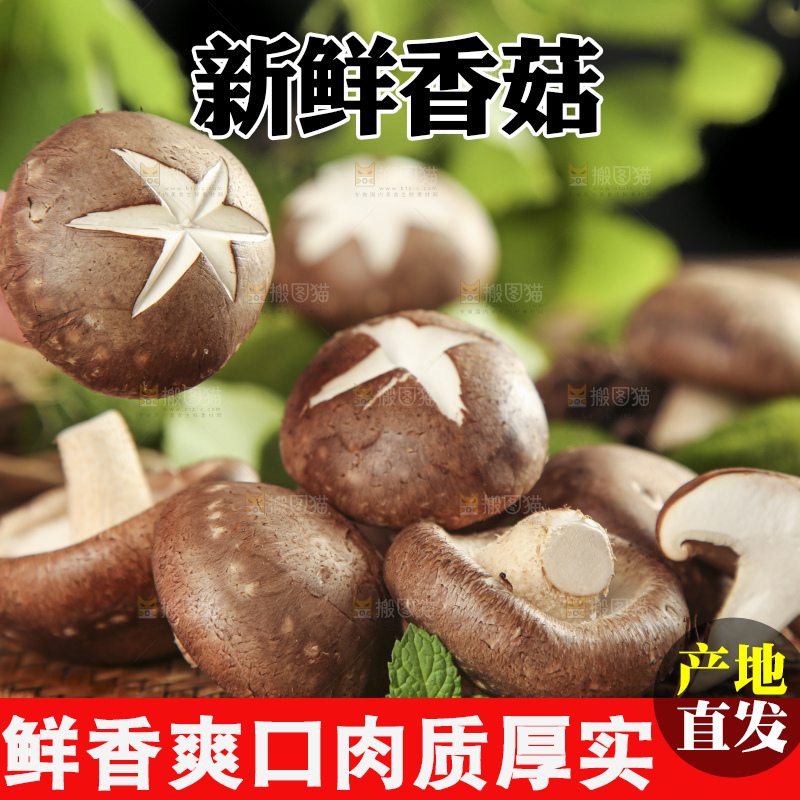 木底上摆放着农家香菇