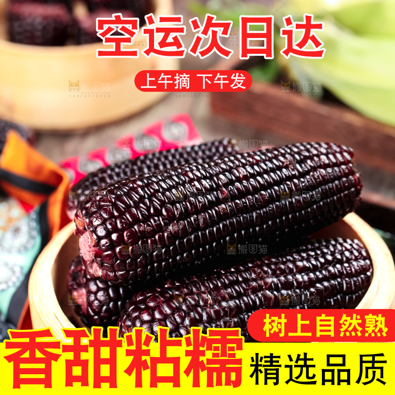 蒸笼里放着黑玉米