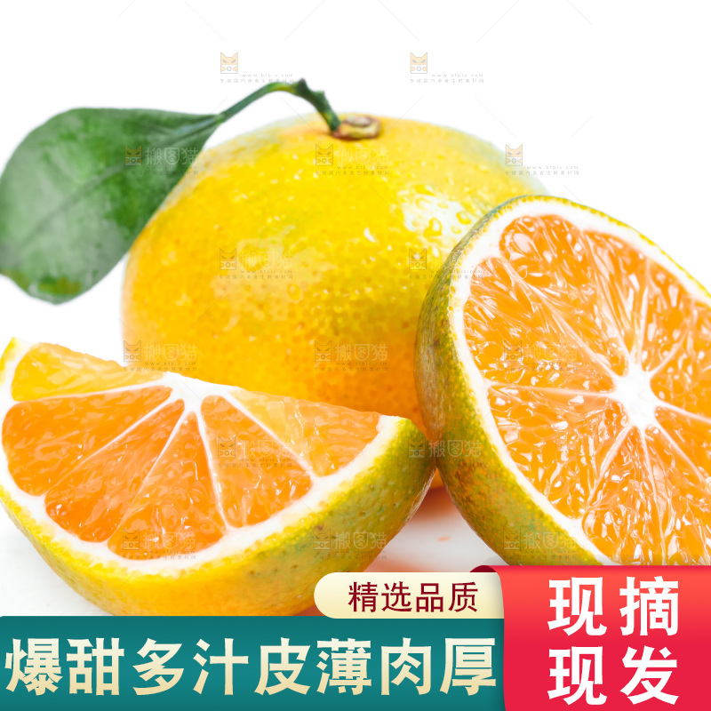切开的新鲜橘子放在白底上