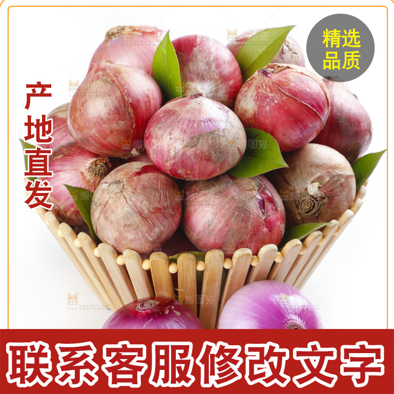 篮子里的新鲜洋葱
