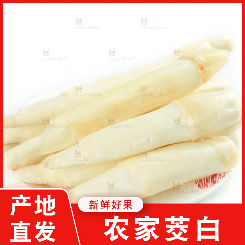 白底上摆放着茭笋