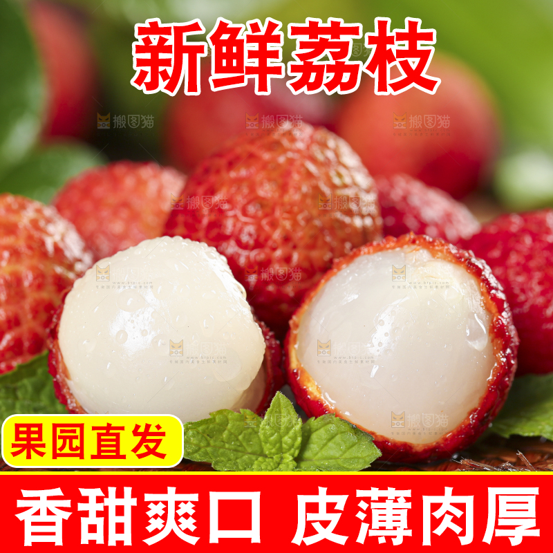 木底上摆放着高山荔枝