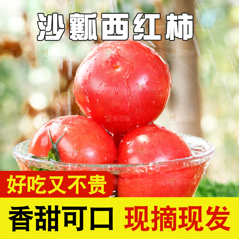草地上的米易沙瓤番茄