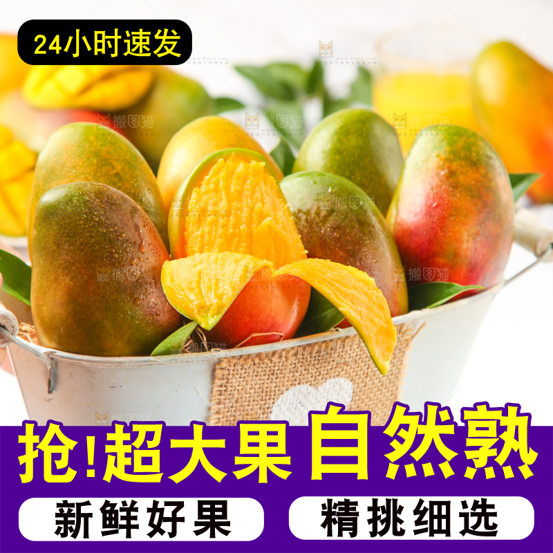 篮子里的爱文芒