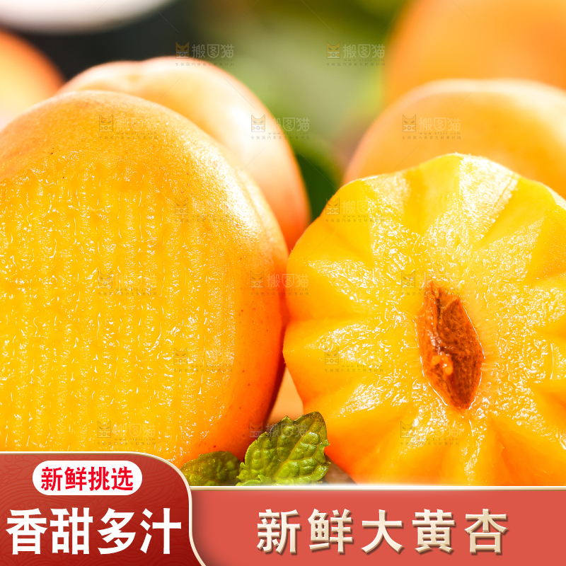 木底上摆放着山东大黄杏