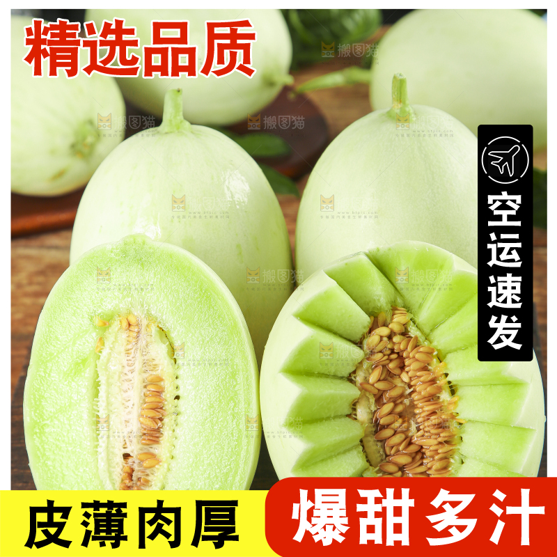深底上摆放着山东玉菇甜瓜