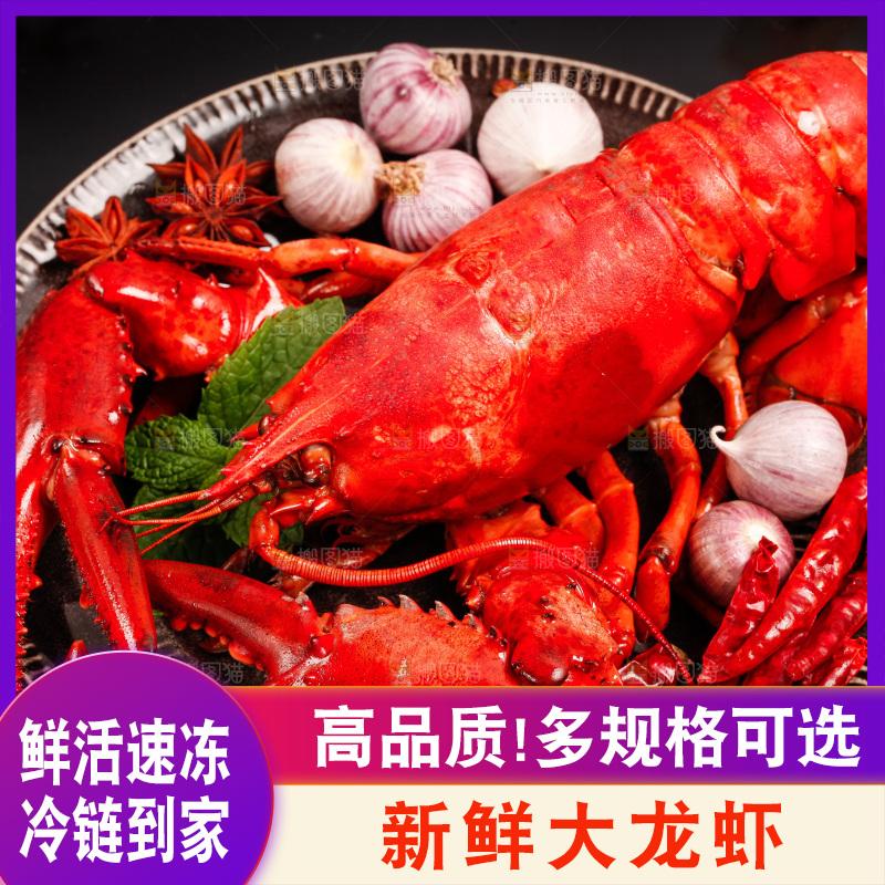 黑底上放着澳洲大龙虾