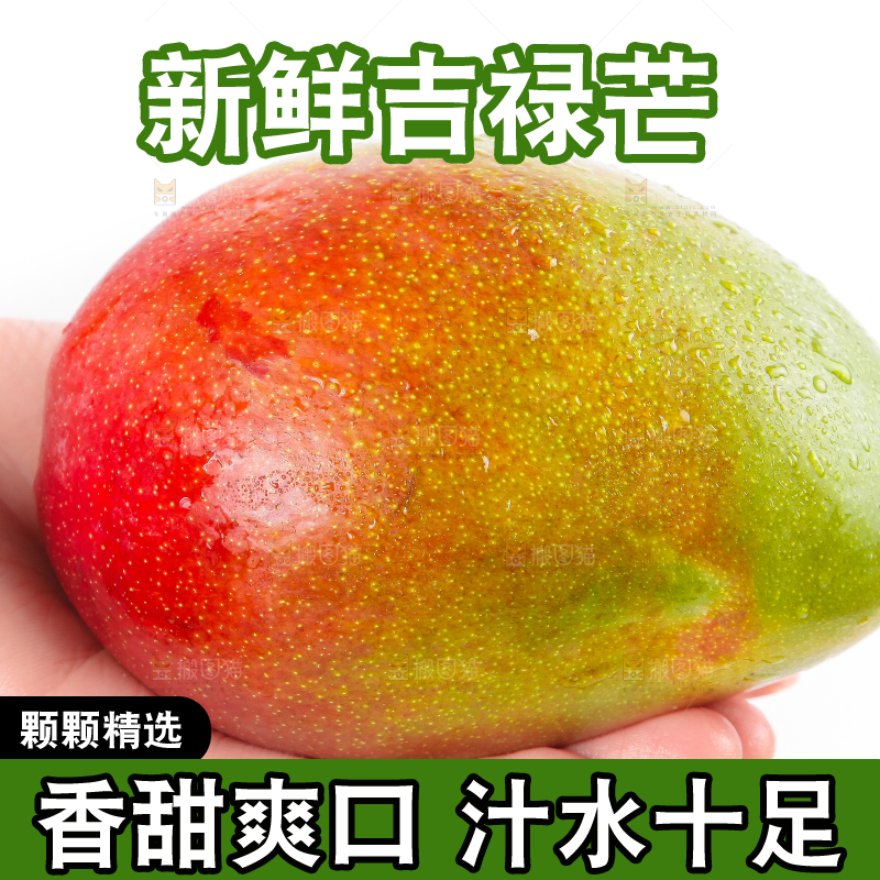 白底上的四川吉禄芒