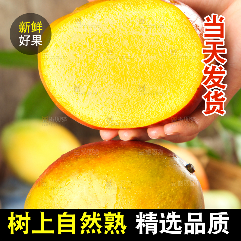 手里拿着吉禄芒果