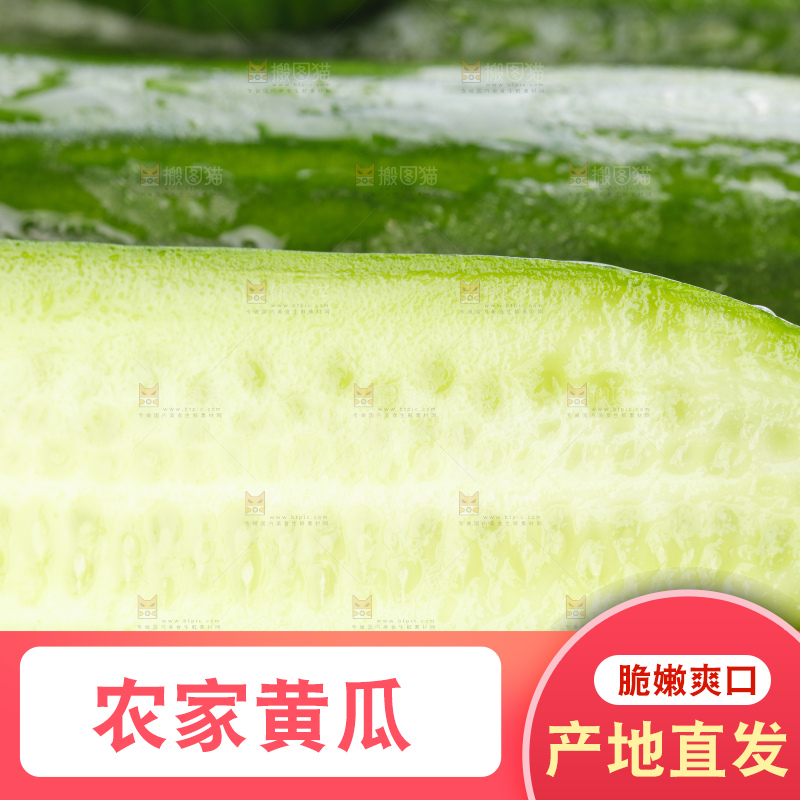 白底上放着切开的嫩黄瓜
