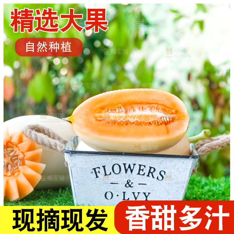 草地上放着东方蜜