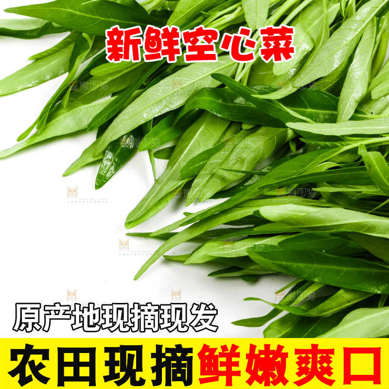 白底上放着新鲜空心菜