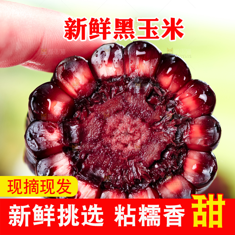 手里拿着紫玉米