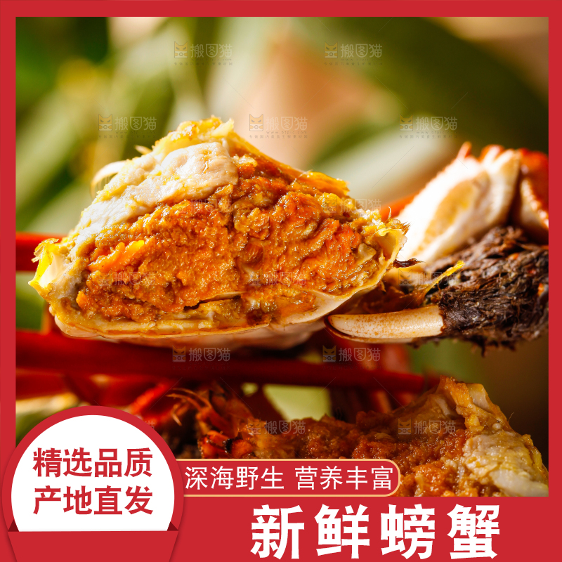 筷子上夹着清蒸螃蟹