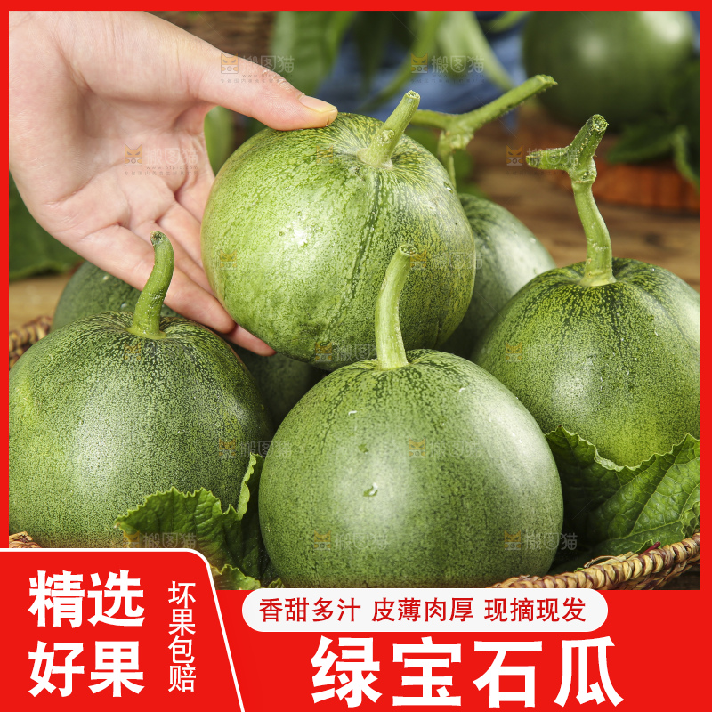 手里拿着绿宝香瓜