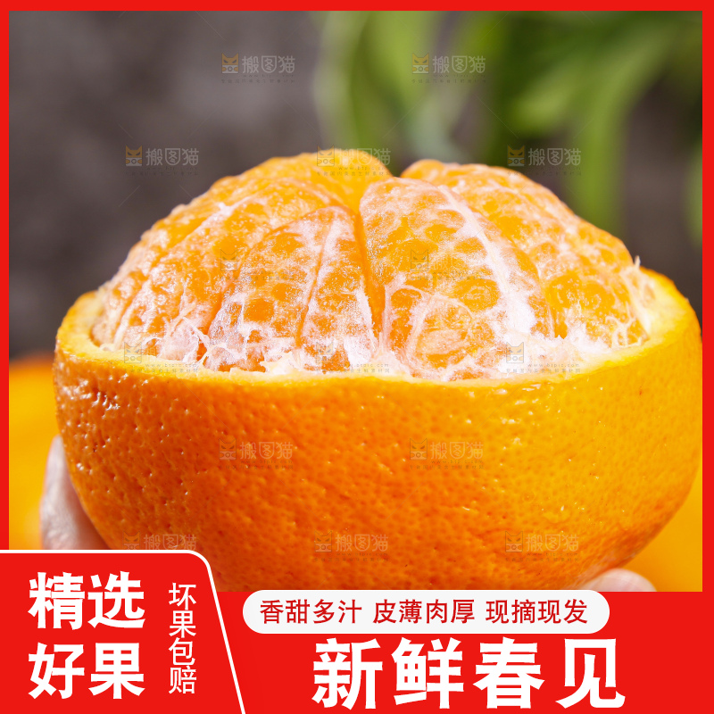 木板上的春见耙耙柑