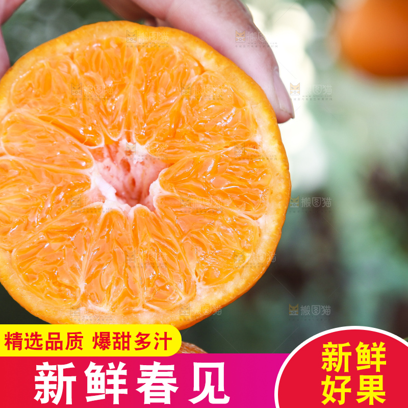 手里拿着耙耙柑