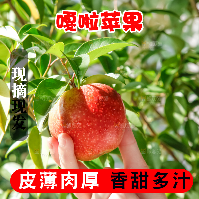 手里拿着嘎啦苹果
