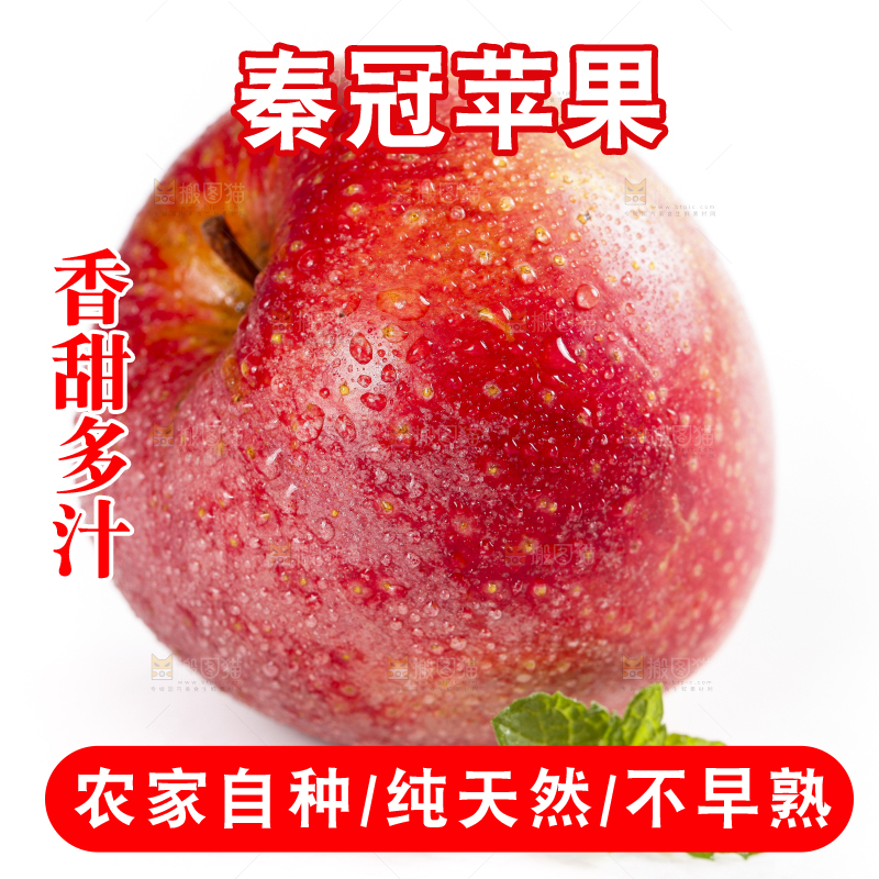 白底上摆放着秦冠苹果