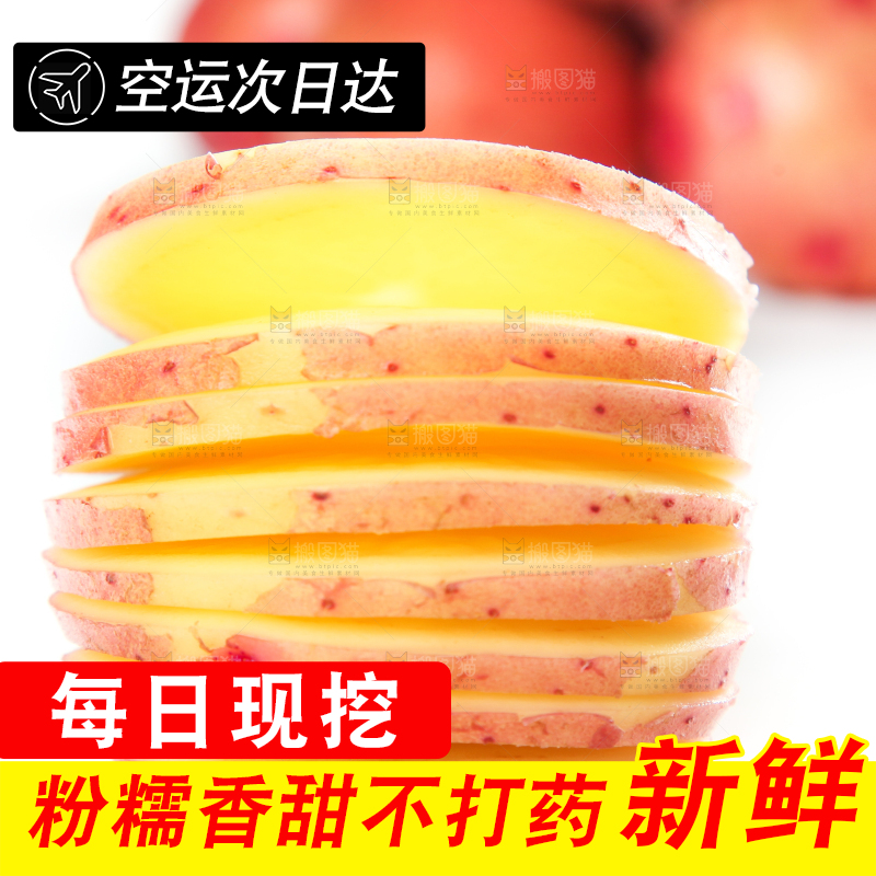 白底上摆放着黄心土豆