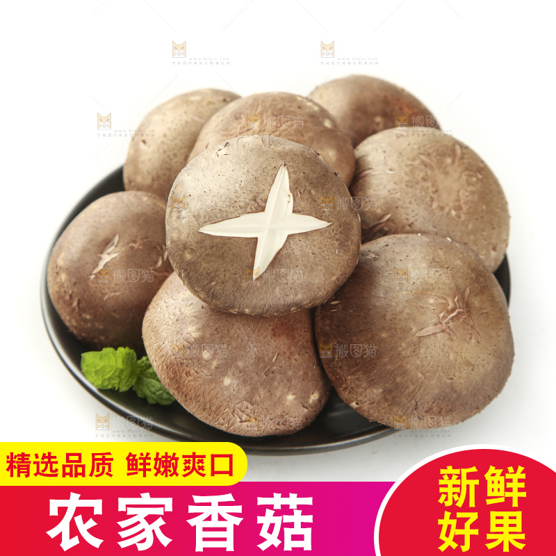 盘子里装着新鲜香菇