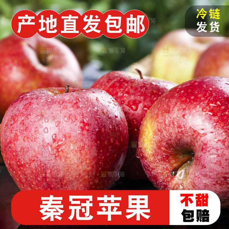 篮子里装着陕西秦冠苹果