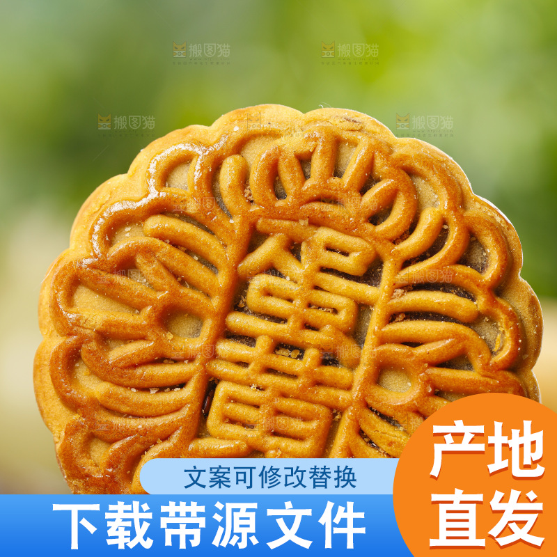手里拿着上海广式月饼