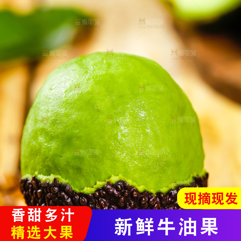 浅底上的巨无霸牛油果