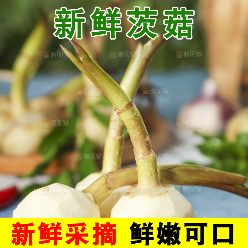 木底上放着燕尾菇