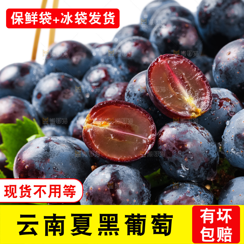 一篮新鲜夏黑放在白底上